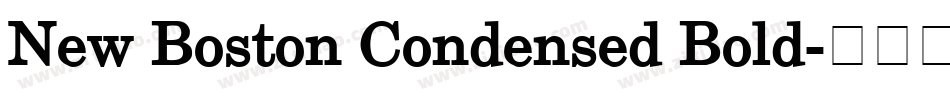 New Boston Condensed Bold字体转换